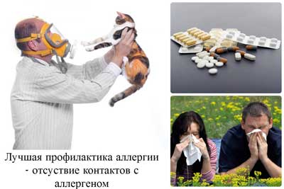 профилактика аллергического ринита