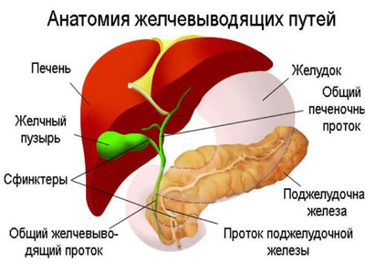 Атрезия желчевыводящих путей