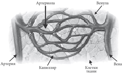 Обморожение: признаки и симптомы