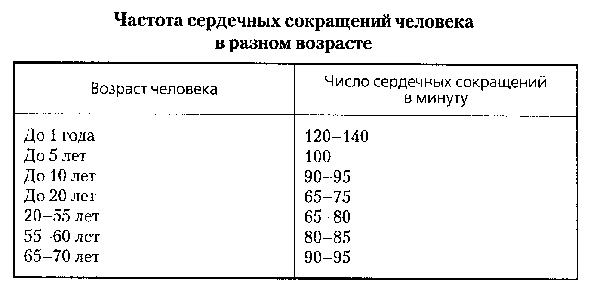 Частота сердечных сокращений у взрослых и детей