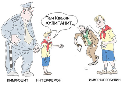 Защитные системы организма
