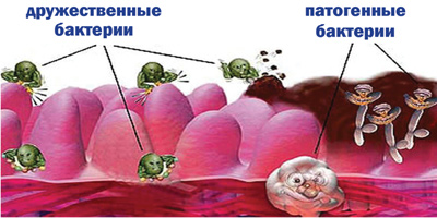 Пробиотики для детей