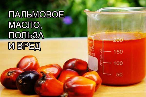 Вся правда про пальмовое масло Вся правда про пальмовое масло