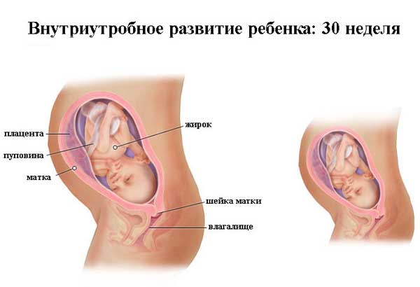30 неделя беременности: что происходит, полезные советы