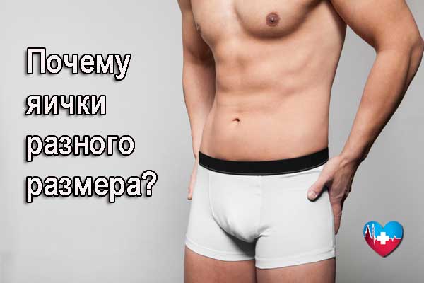 почему разные яички почему разные яички
