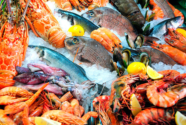 о пользе рыбы и морепродуктов о пользе рыбы и морепродуктов
