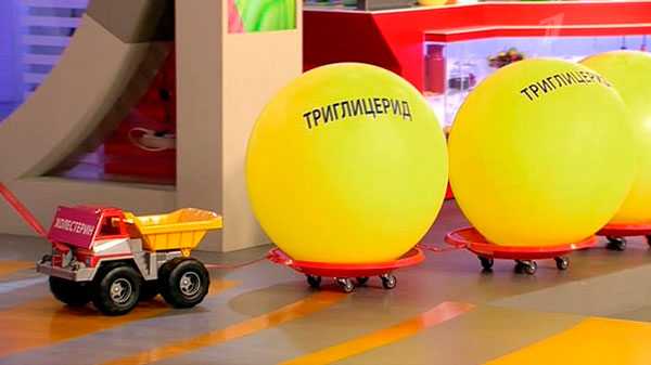 Триглицериды в организме