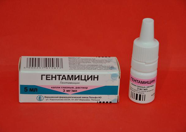 Гентамицин офтальмологический: использование Гентамицин офтальмологический: инструкция по применению