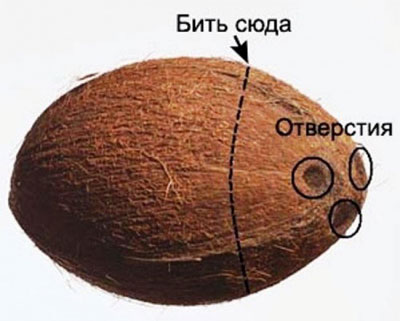 Кокосовая вода подарит хорошее здоровье