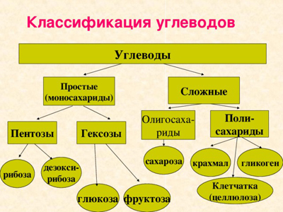 Непереносимость углеводов