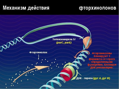 Фторхинолоны
