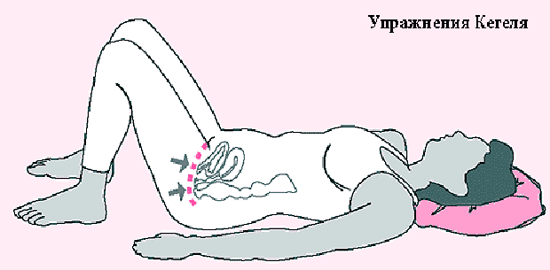 упражнения Кегеля