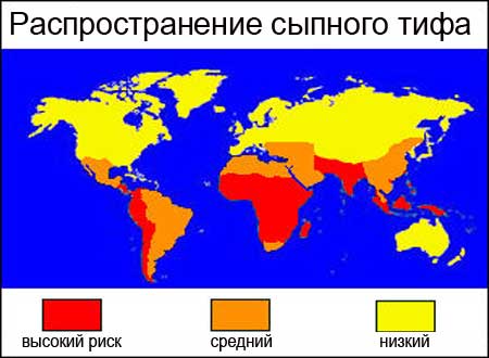На рисунке: в каких странах можно заразиться сыпным тифом