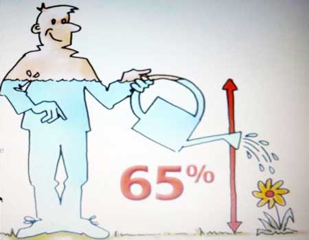 Человек на 65% состоит из воды
