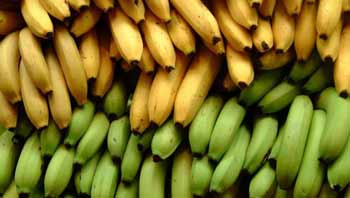 Какие продукты вызывают запор