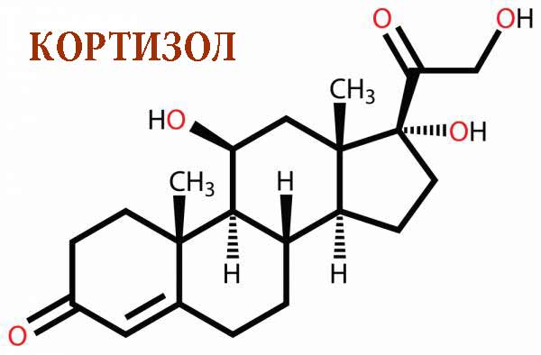 кортизол