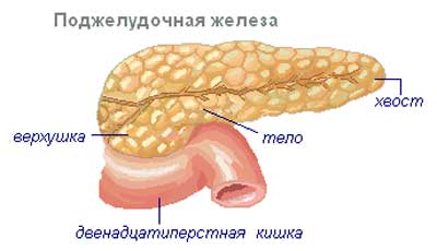 Панкреатэктомия