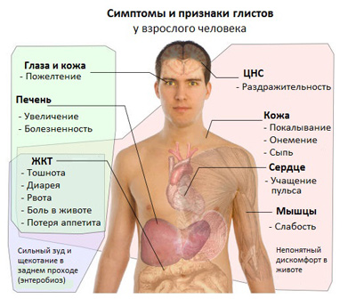 симптомы аскаридоза