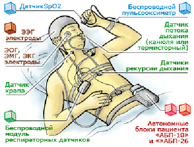 Полисомнография: цели, описание, результаты