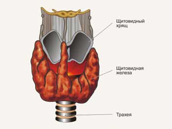 хроническая усталость