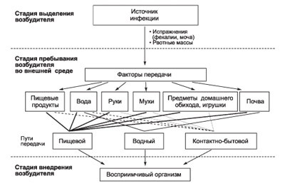 распространение брюшного тифа