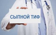 Сыпной тиф Сыпной тиф