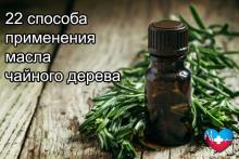 Эфирное масло чайного дерева. 22 способа применения Эфирное масло чайного дерева. 22 способа применения