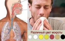 Различный цвет мокроты Различный цвет мокроты