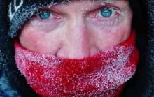 Воздействие холода на организм Воздействие холода на организм