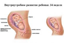 34 неделя беременности: что происходит, полезные советы