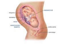 35 неделя беременности: что происходит, полезные советы