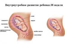 38 неделя беременности: что происходит, полезные советы 38 неделя беременности: что происходит, полезные советы