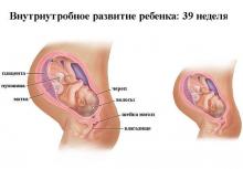 39 неделя беременности: что происходит 39 неделя беременности: что происходит