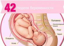 42 неделя беременности: что происходит, полезные советы 42 неделя беременности: что происходит, полезные советы