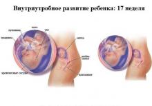 17 неделя беременности: что происходит, полезные советы