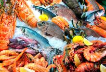 о пользе рыбы и морепродуктов о пользе рыбы и морепродуктов
