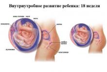 18 неделя беременности: что происходит, полезные советы