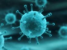 Грипп: распространение, классификация Грипп: распространение, классификация