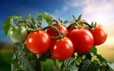 Самые полезные продукты здорового питания